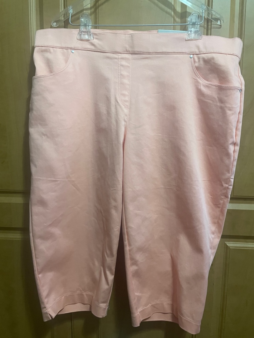 Coral Bay Coral Stretch Capris Size 16W